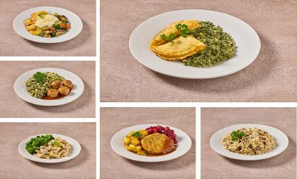 Maaltijdbox Vegetarisch (6 stuks)